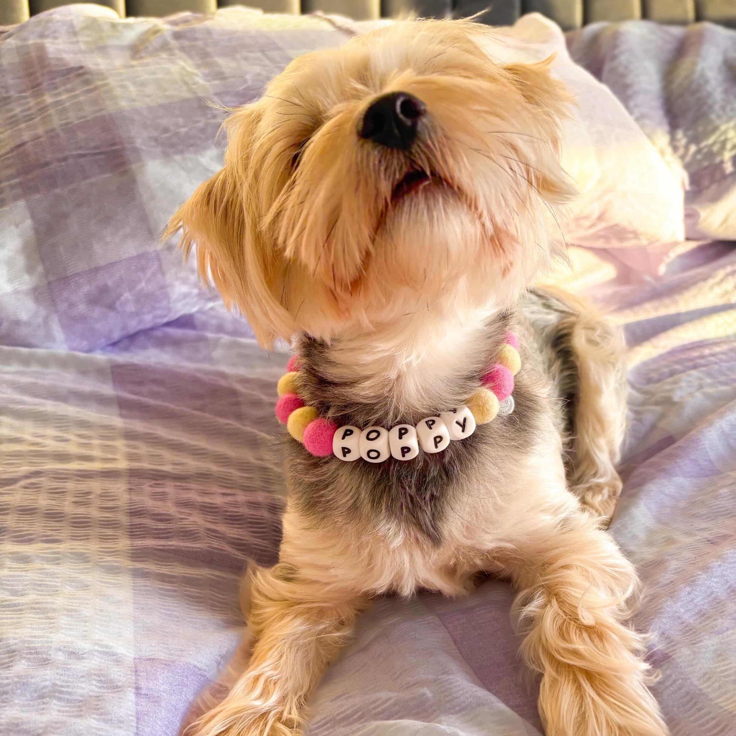 Alphabet Pom Pom Collar
