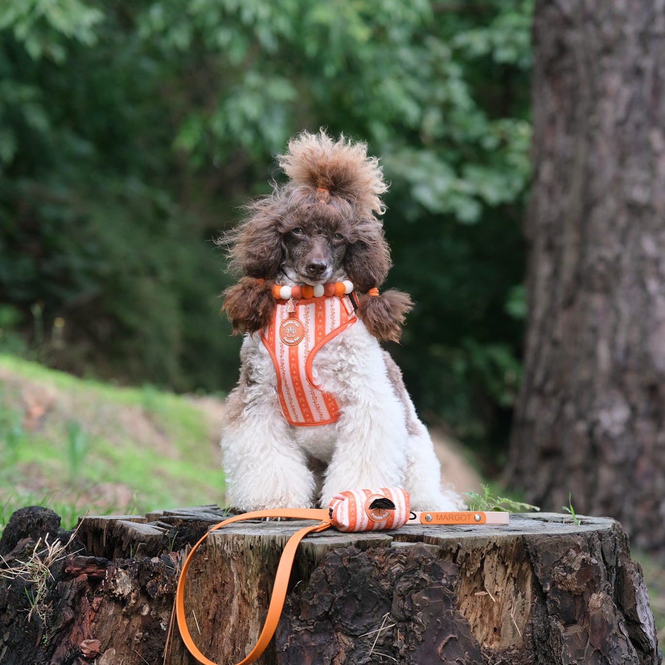 Bow & Blooms Dog Harness