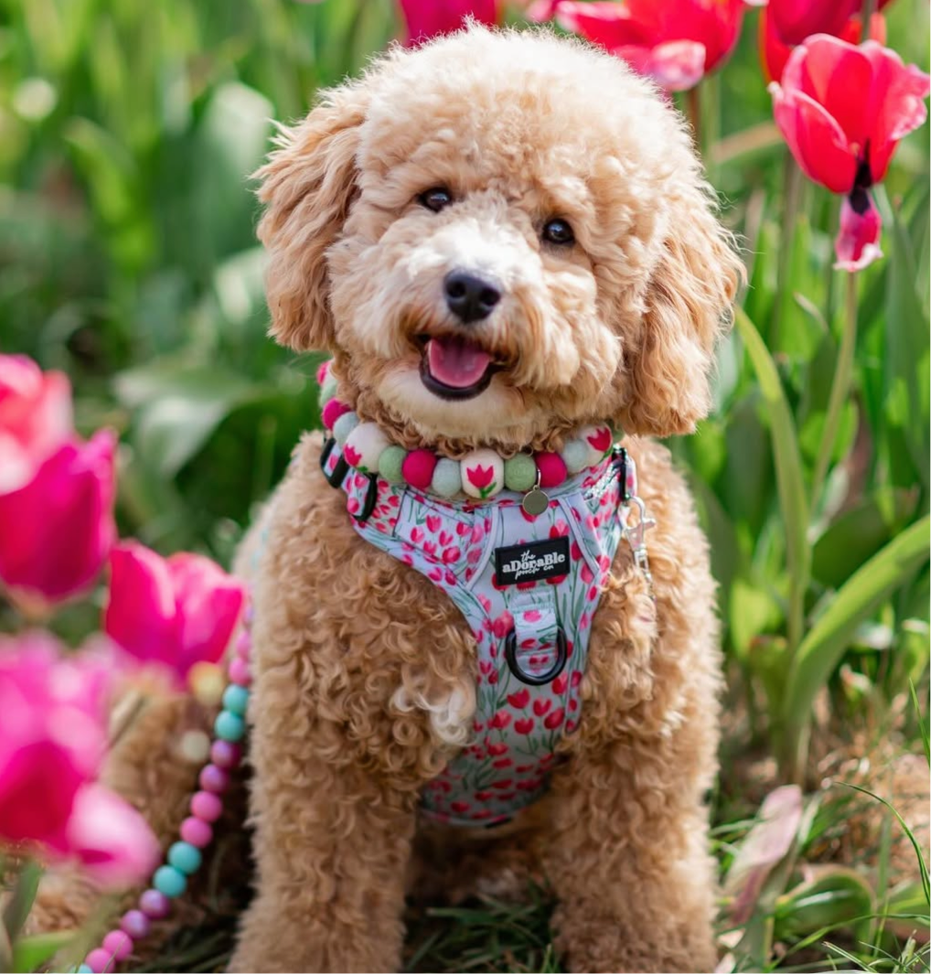 Tulip Field Pom Pom Collar