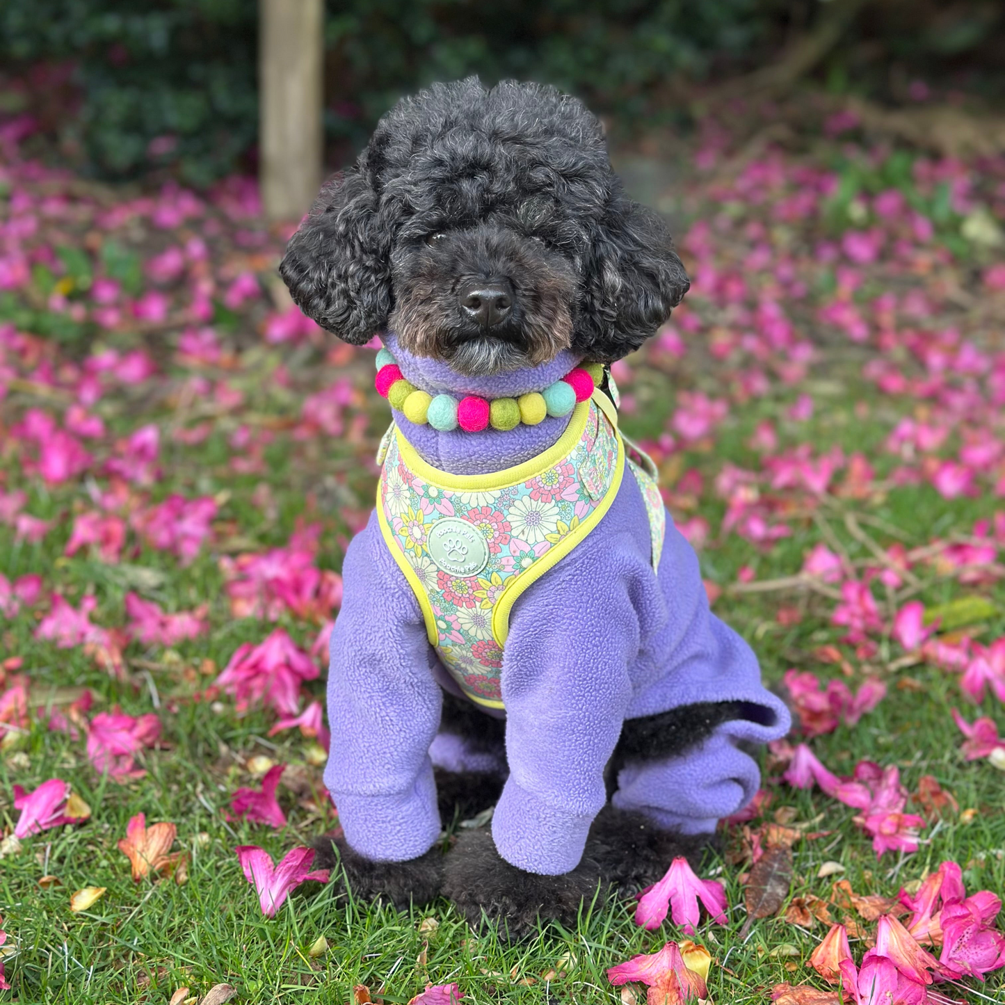 Spring Burst Pom Pom Collar