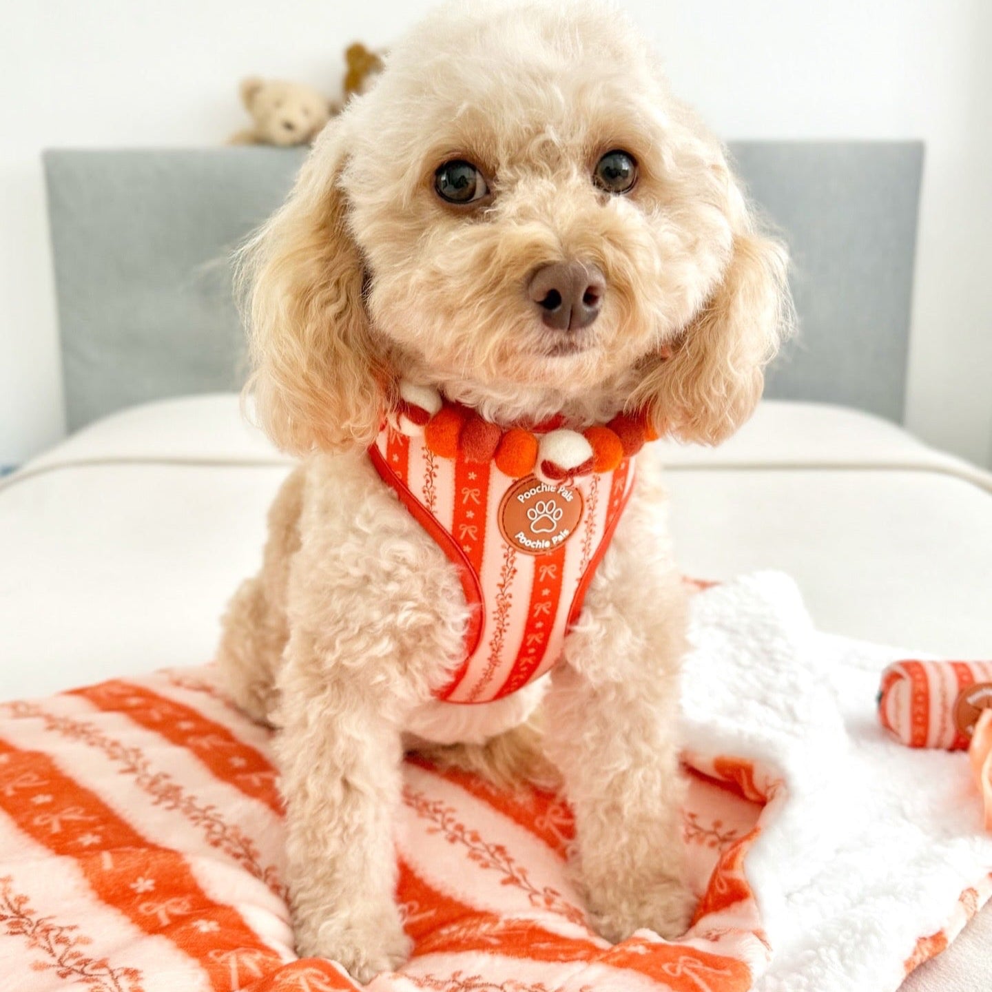 Bow & Blooms Dog Harness