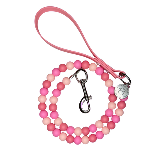 Raspberry Ripple Dog Lead