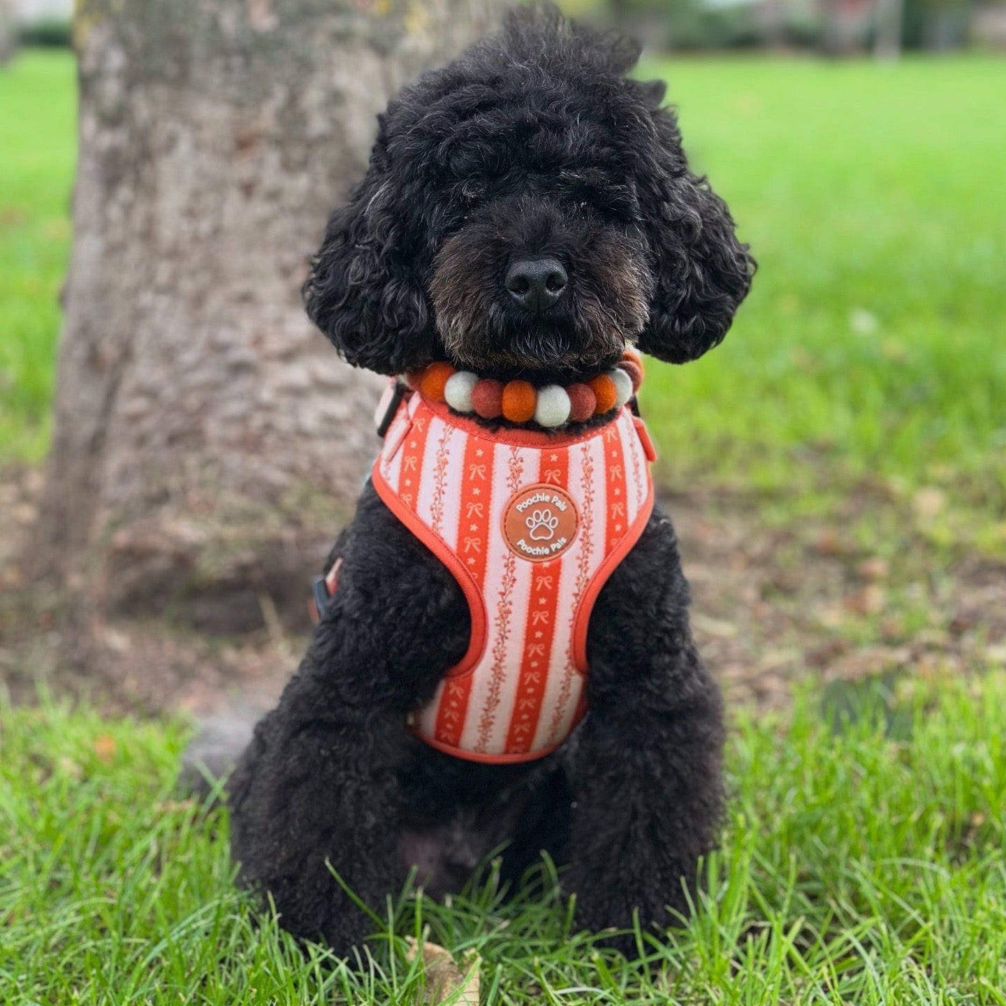 Autumn Pom Pom Collar