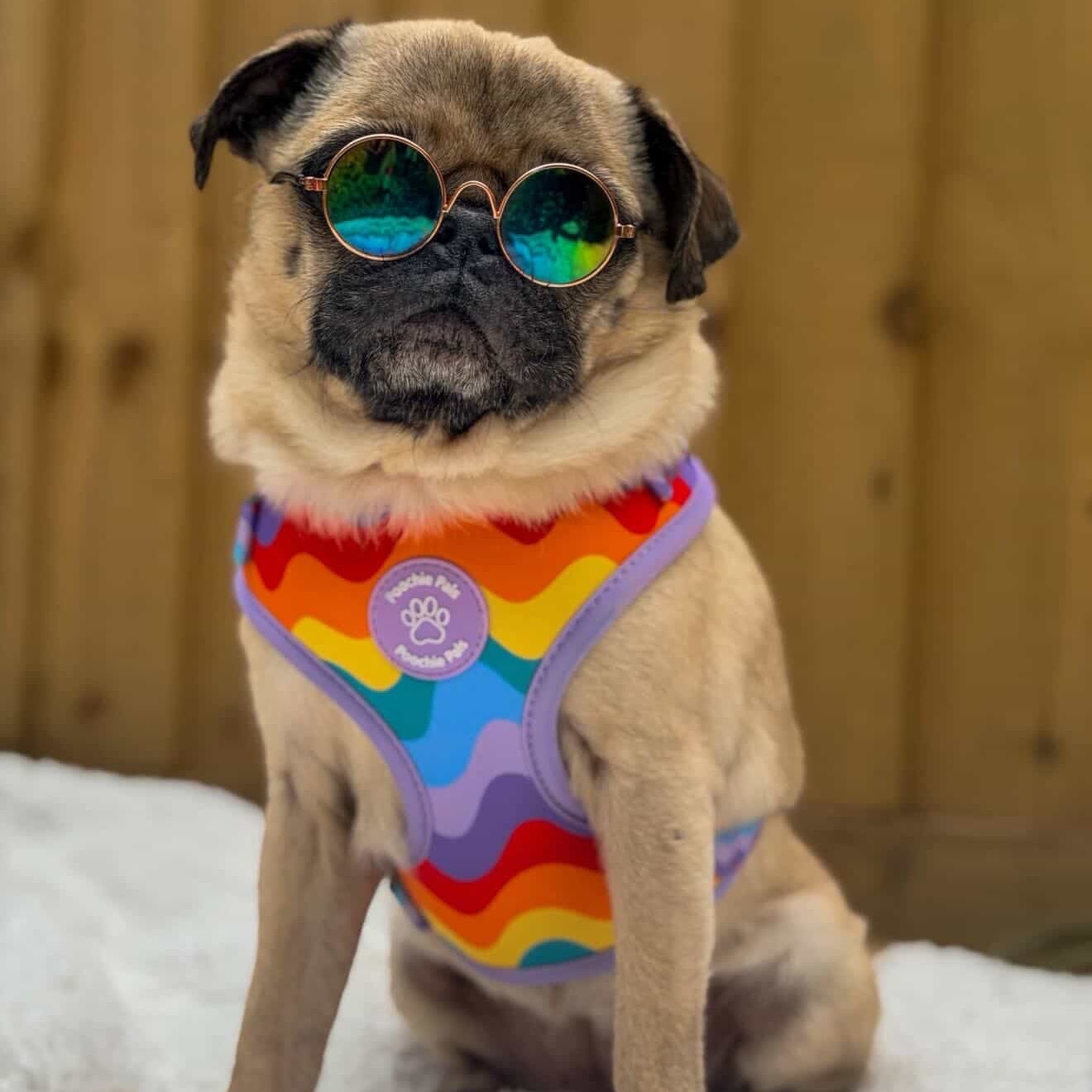 Rainbow Walkies Adjustable Harness