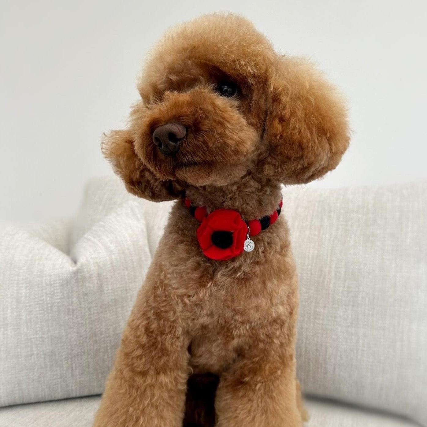 Remembrance Day Poppy Red Pom Pom Collar