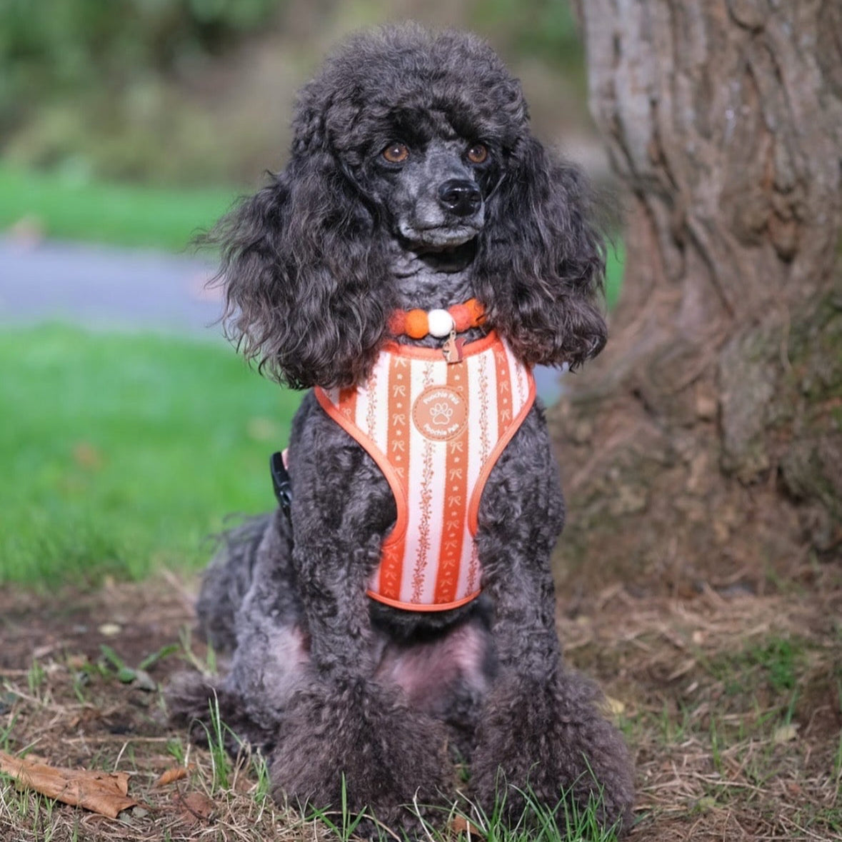 Autumn Pom Pom Collar