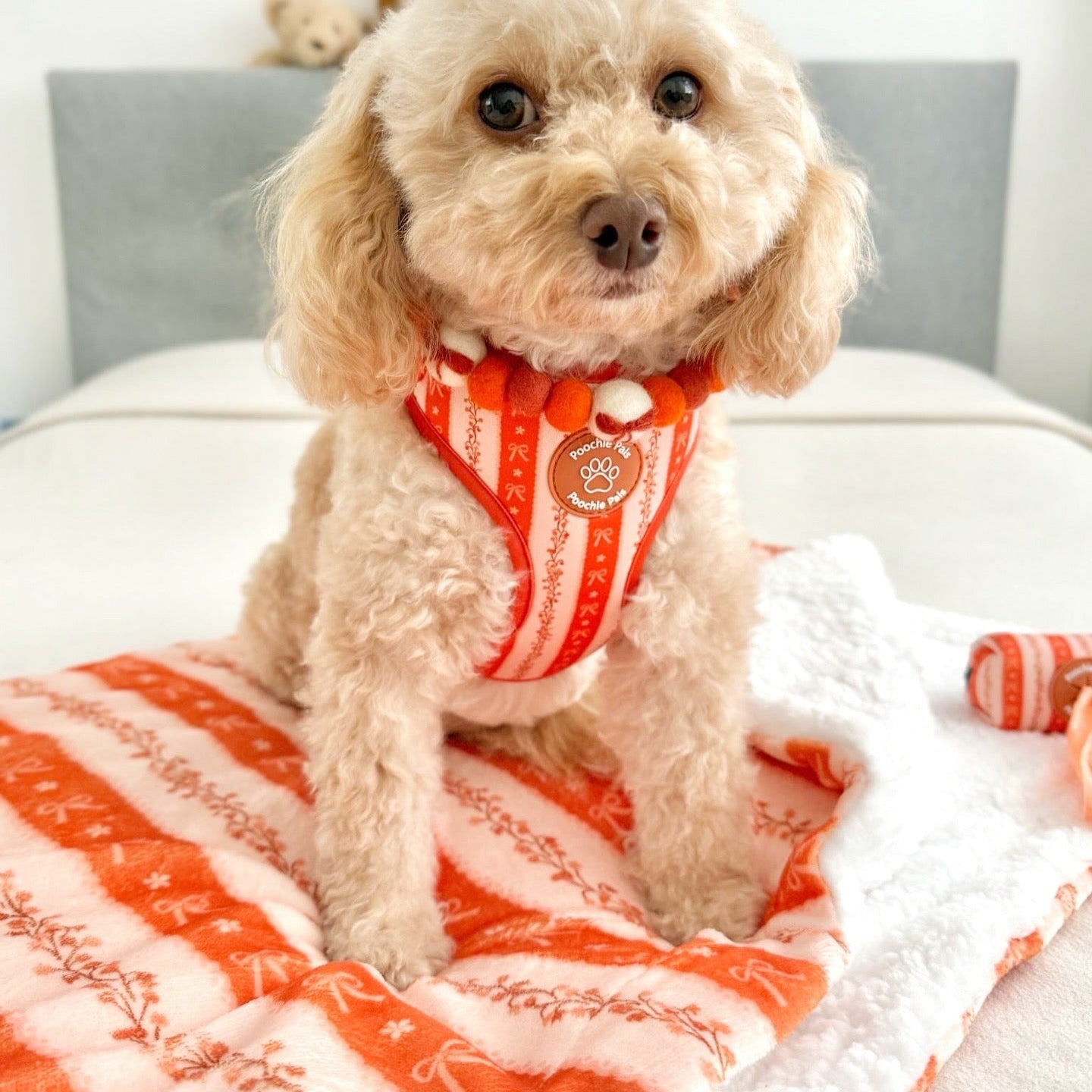 Bow & Blooms Pom Pom Collar