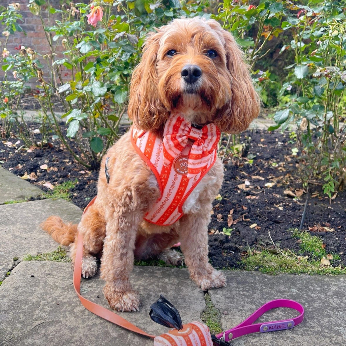 Bows & Blooms Poop Bag Holder