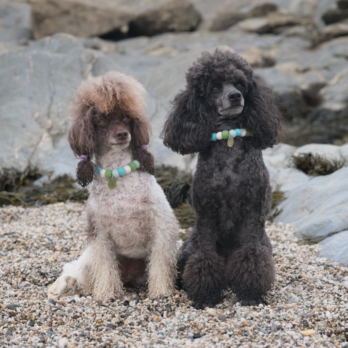Sirens Gem Cornish Sea Glass Pom Pom Collar