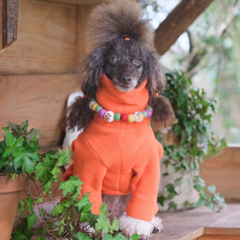 Katies Allotment Pom Pom Collar