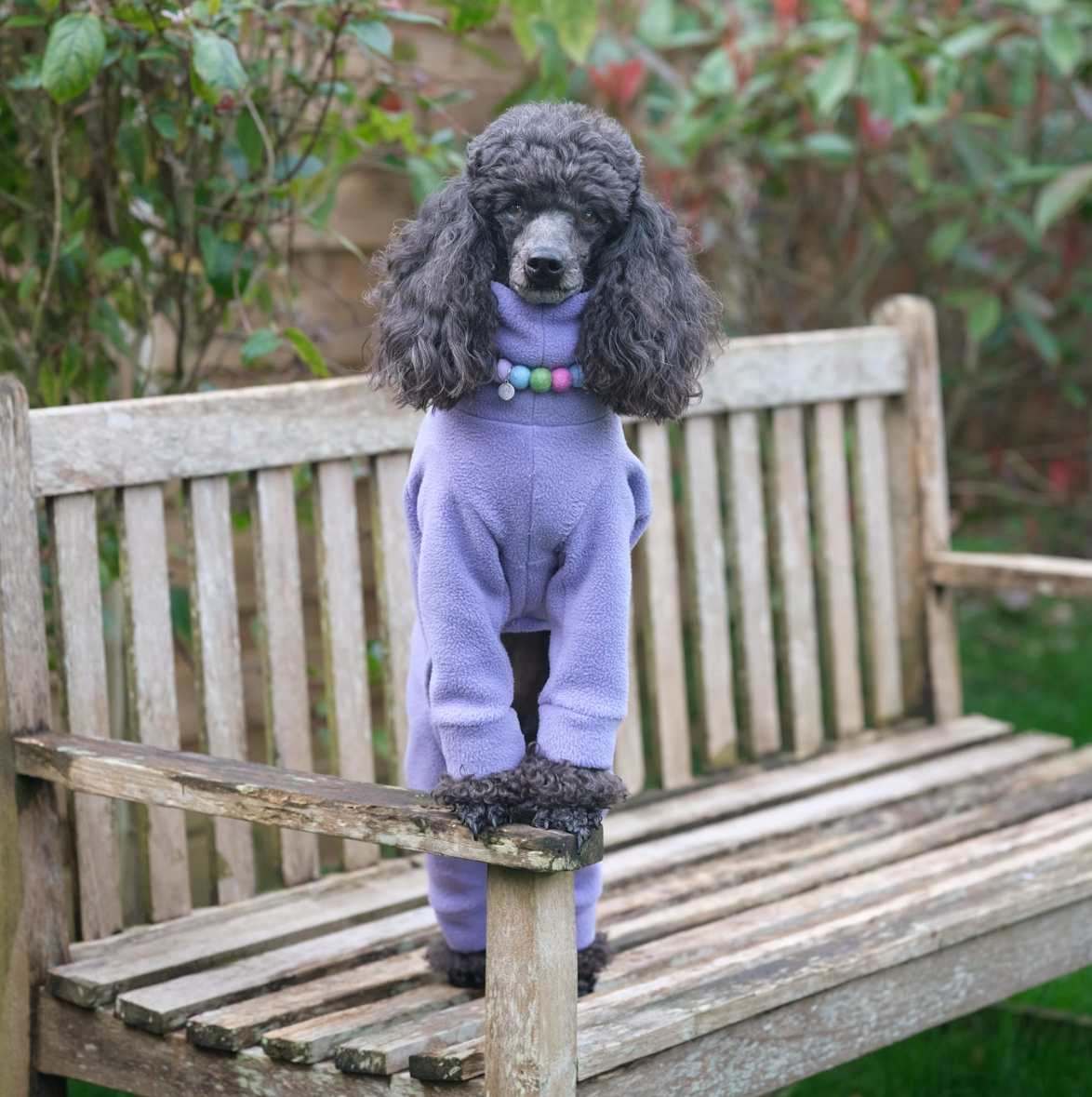 Crocus Pom Pom Collar