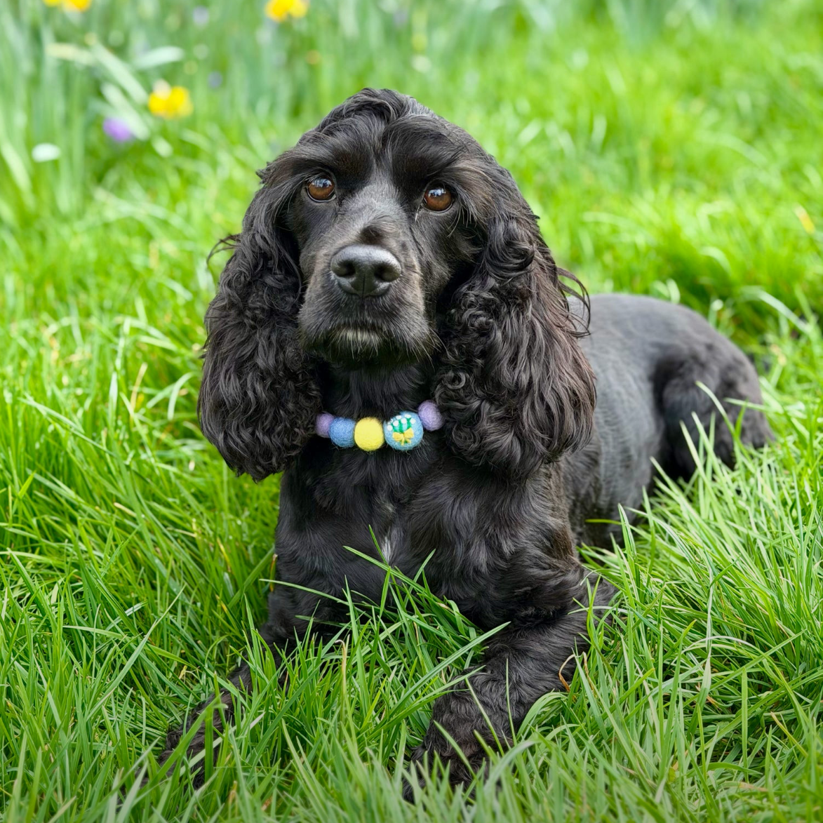 Spring Bouquet Pom Pom Collar