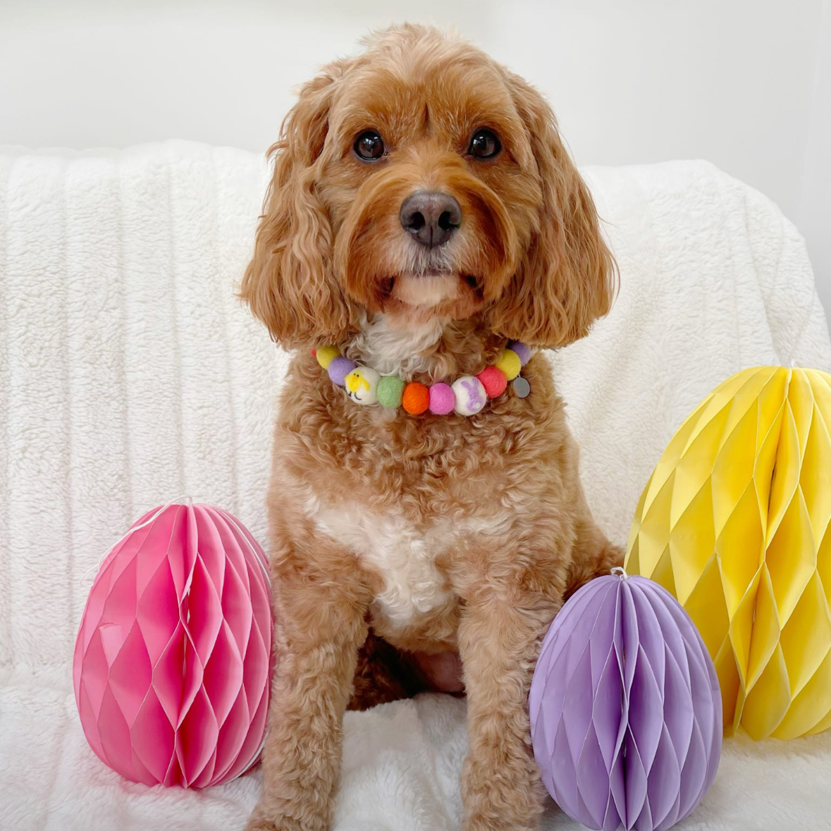 Easter Fun Pom Pom Collar