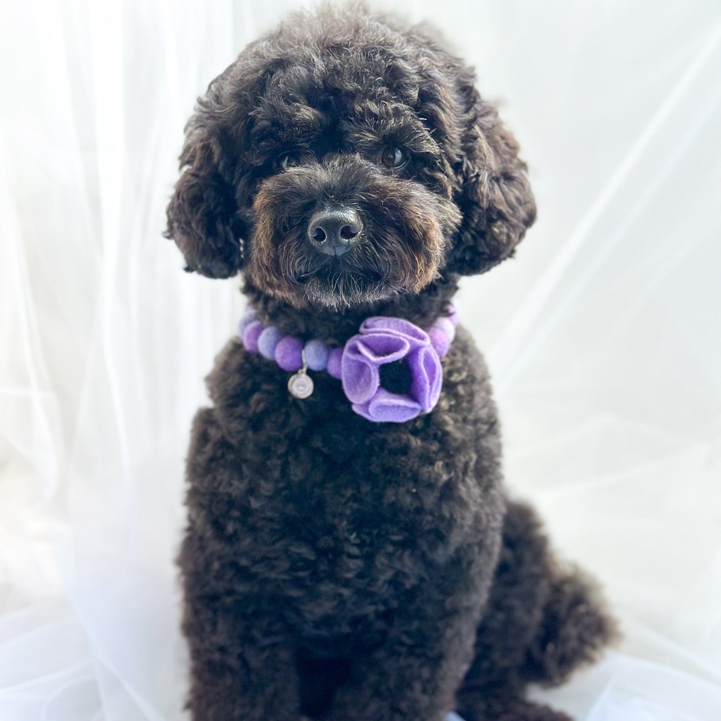 Remembrance Day Poppy Purple Pom Pom Collar