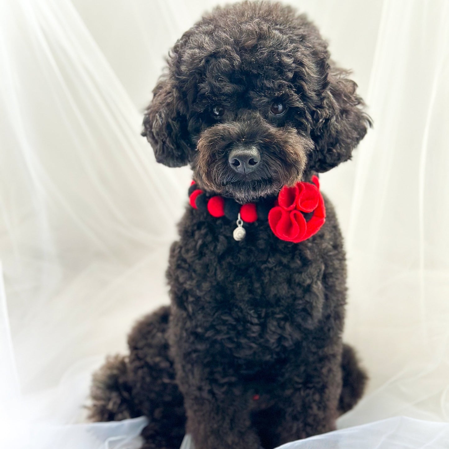 Remembrance Day Poppy Red Pom Pom Collar