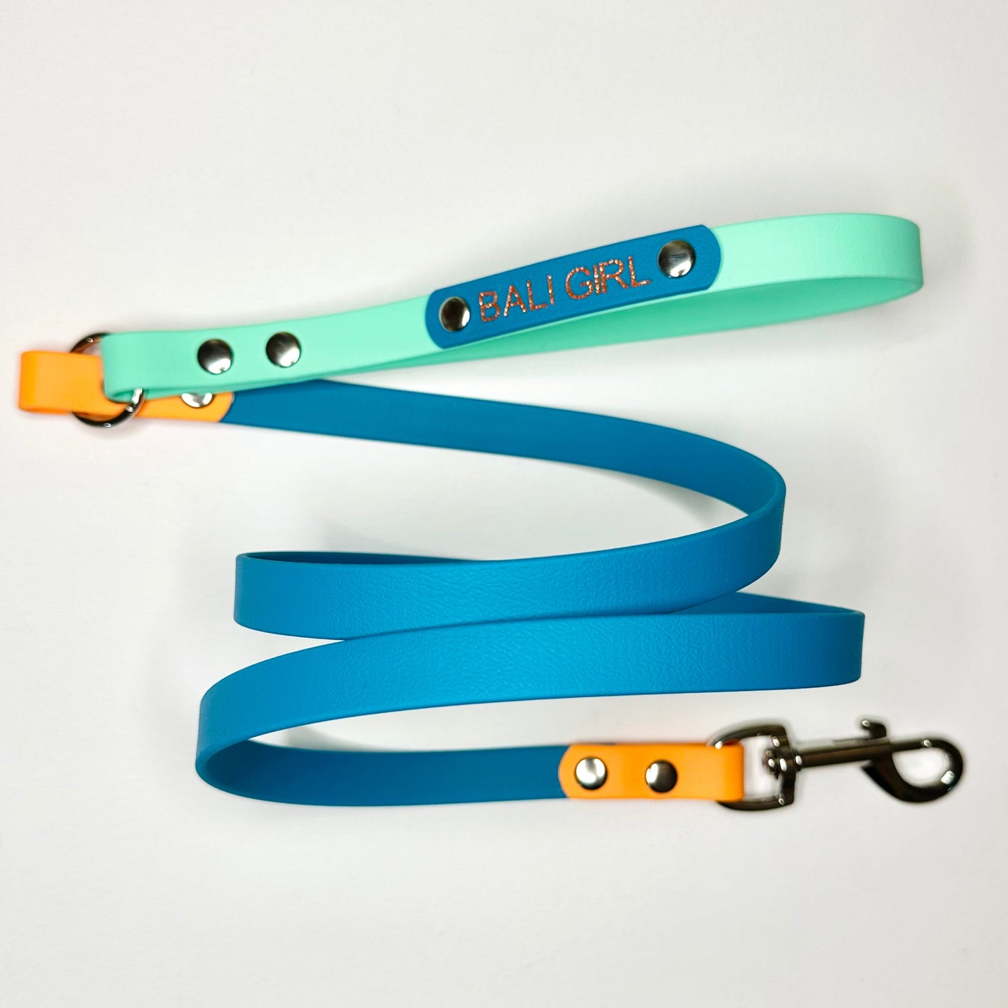 Custom Biothane Dog Lead