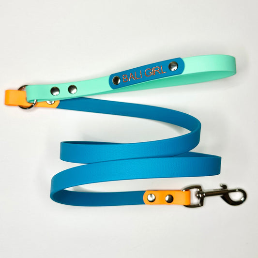 Custom Biothane Dog Lead