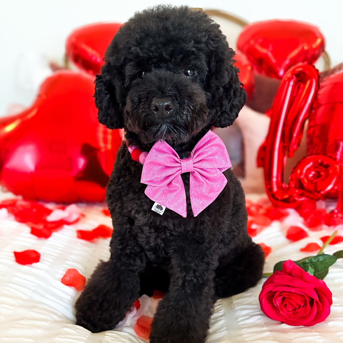 Be Mine Pom Pom Collar