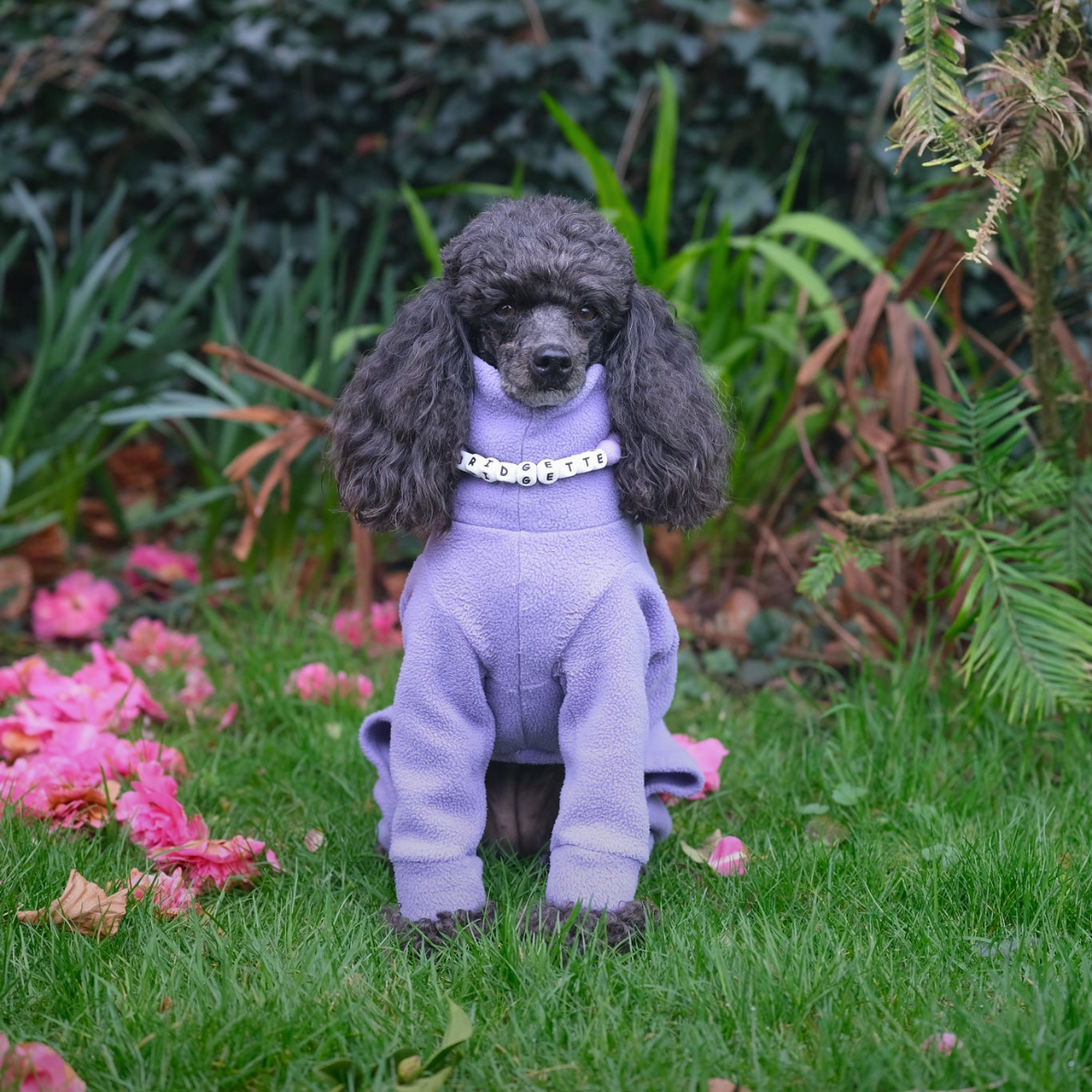 Alphabet Pom Pom Collar