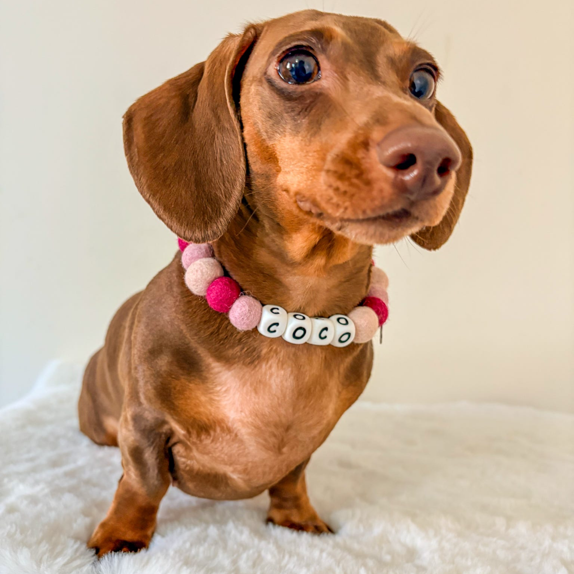 Alphabet Pom Pom Collar