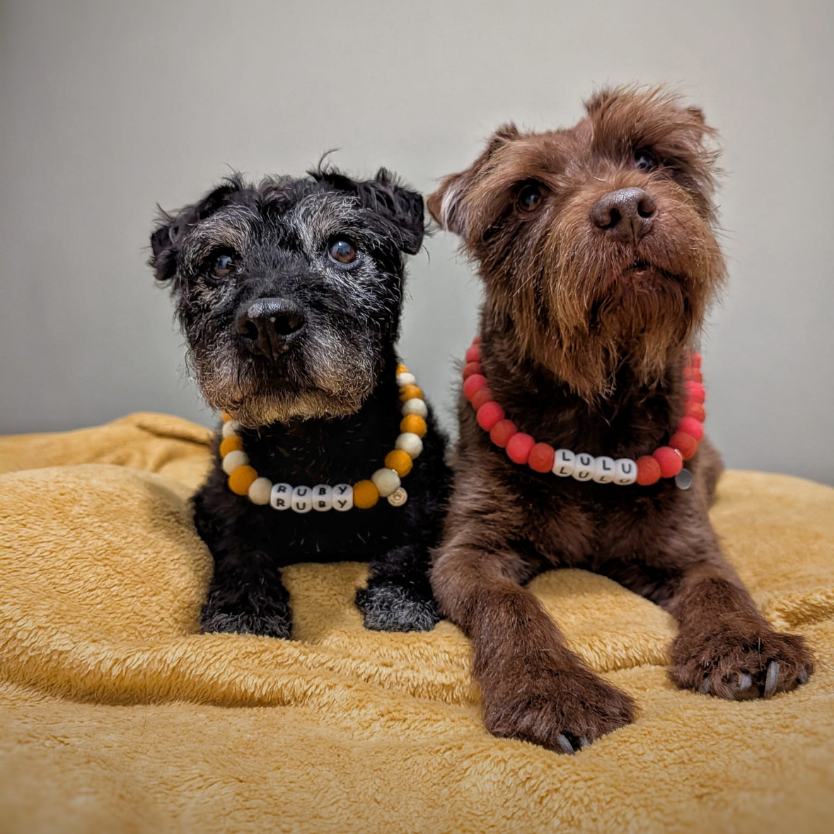 Alphabet Pom Pom Collar