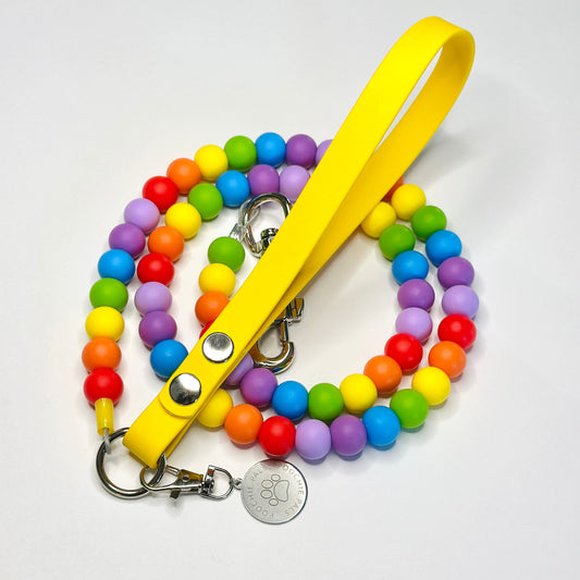 Rainbow Biothane Dog Lead