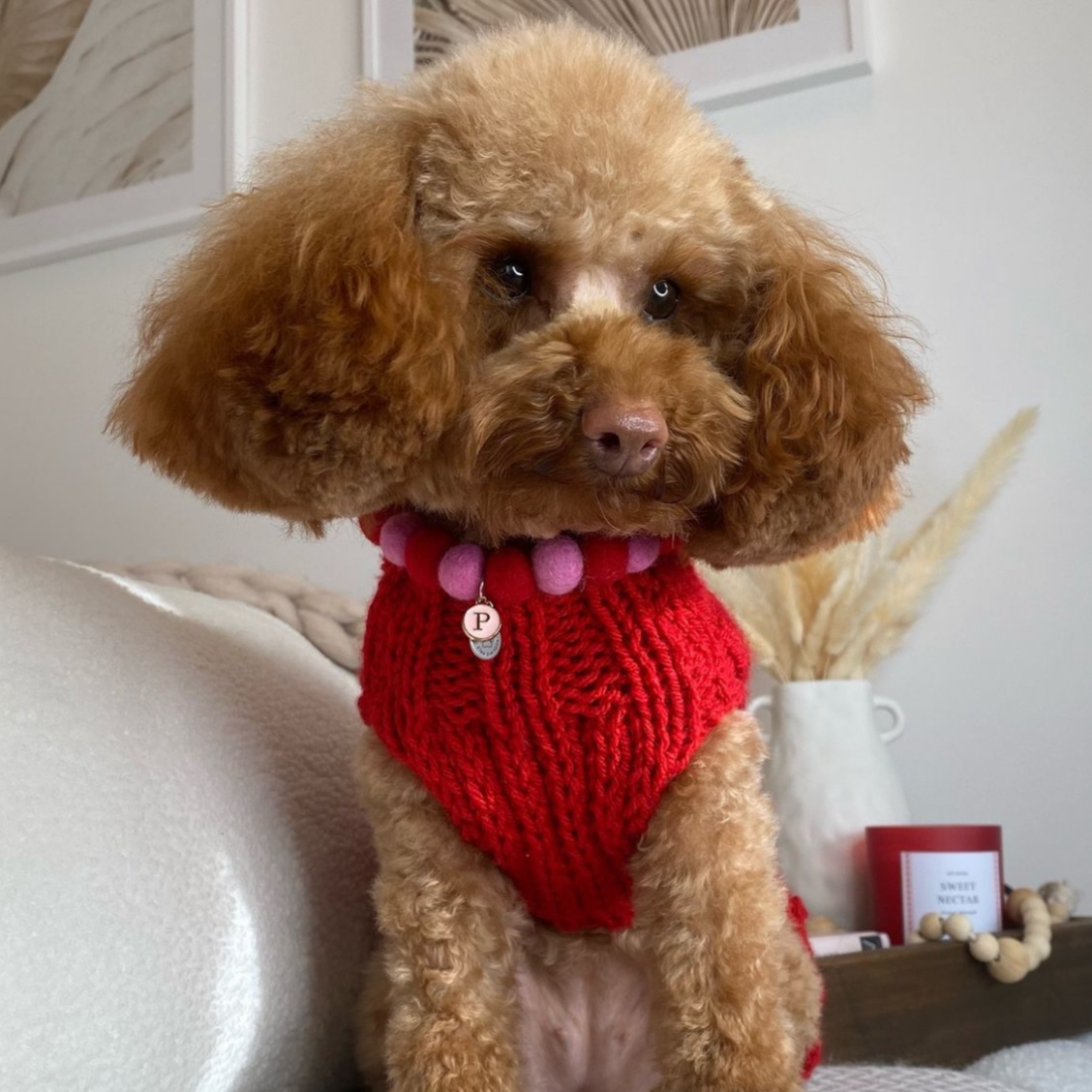 Be Mine Pom Pom Collar