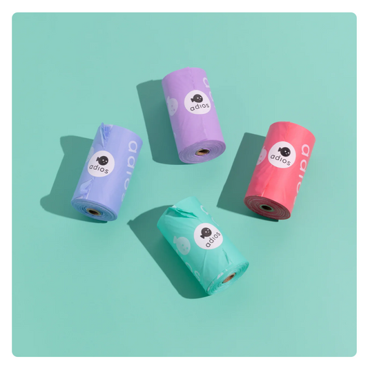 Compostable dog poo bags displayed on a teal background with product packaging.