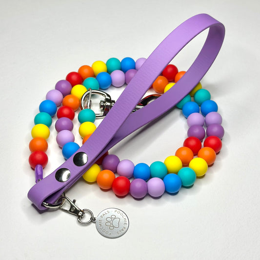 Rainbow Walkies Beaded Lead