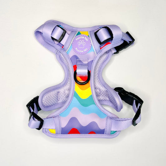 Rainbow Walkies 3 Click Harness