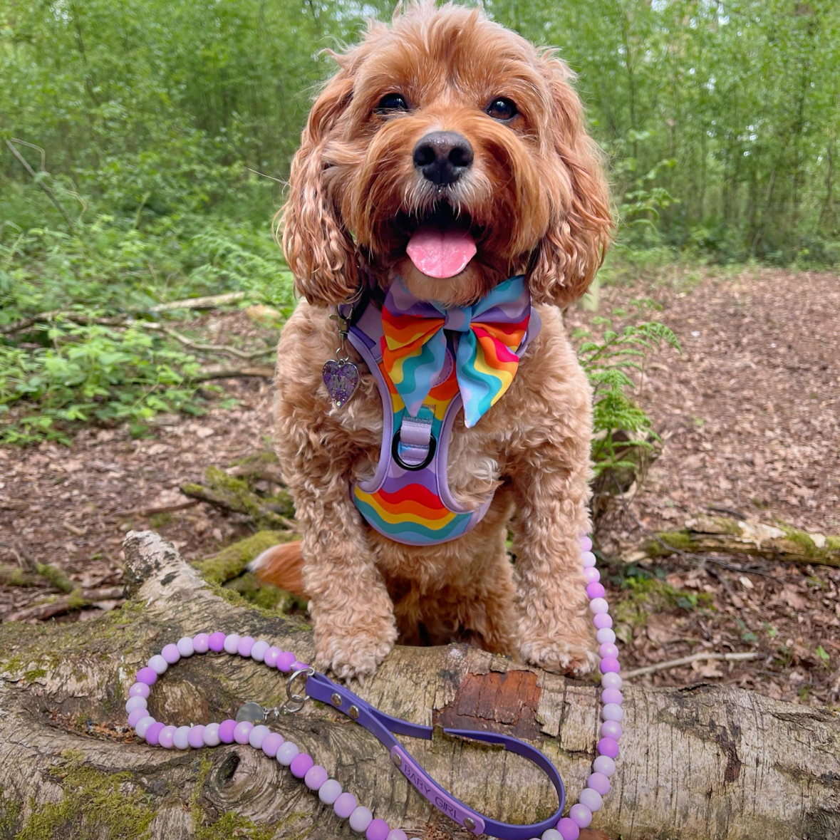 Brown dog with a colorful rainbow bandana sitting on a log in a forest.