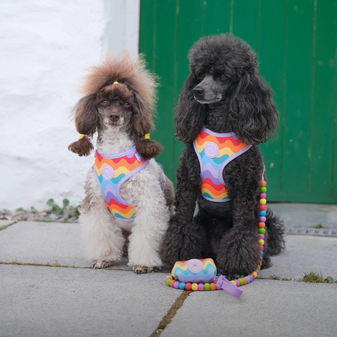 Rainbow Walkies Adjustable Harness