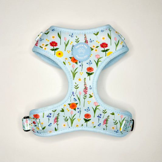 Secret Garden Adjustable