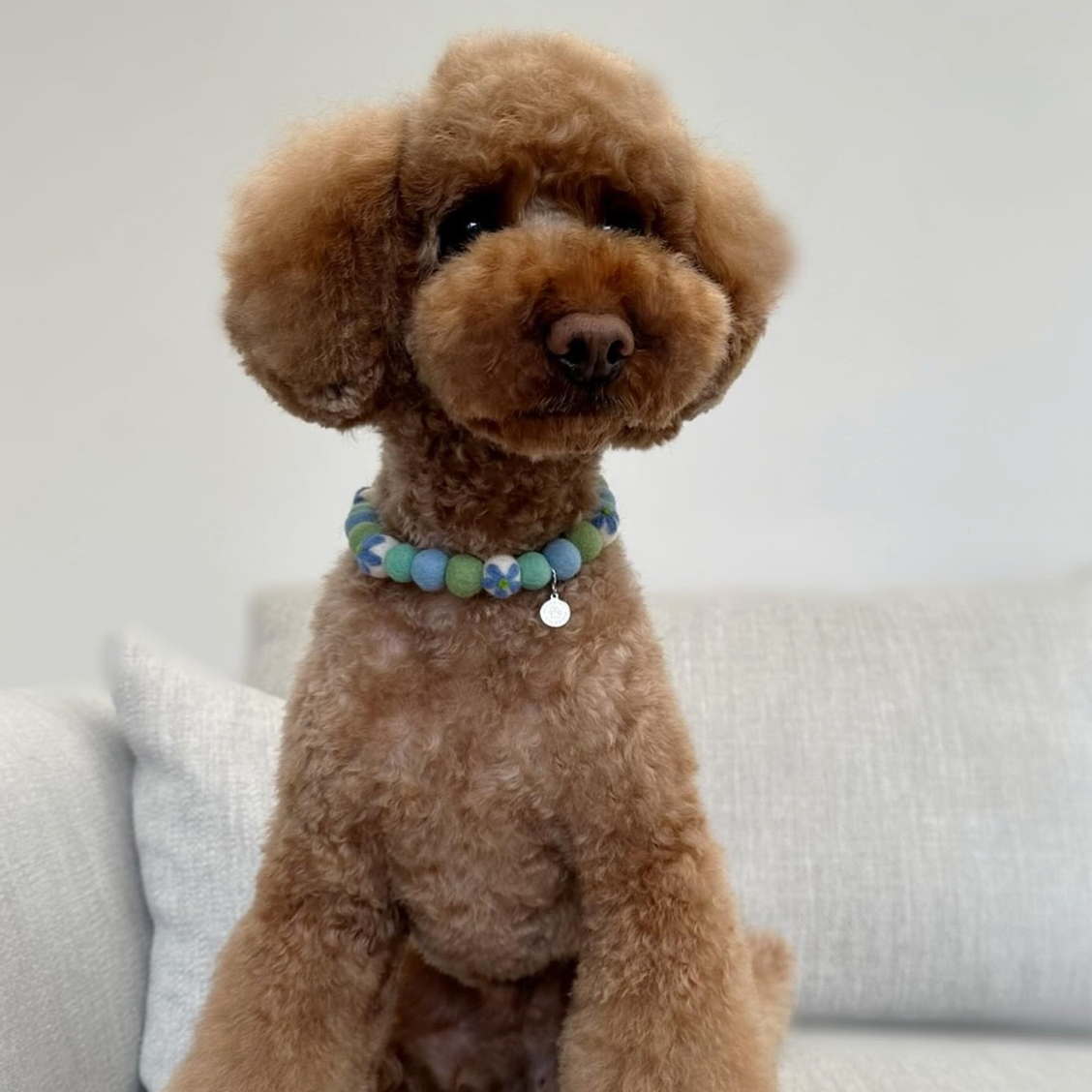 Spring Garden Flower Pom Pom Collar