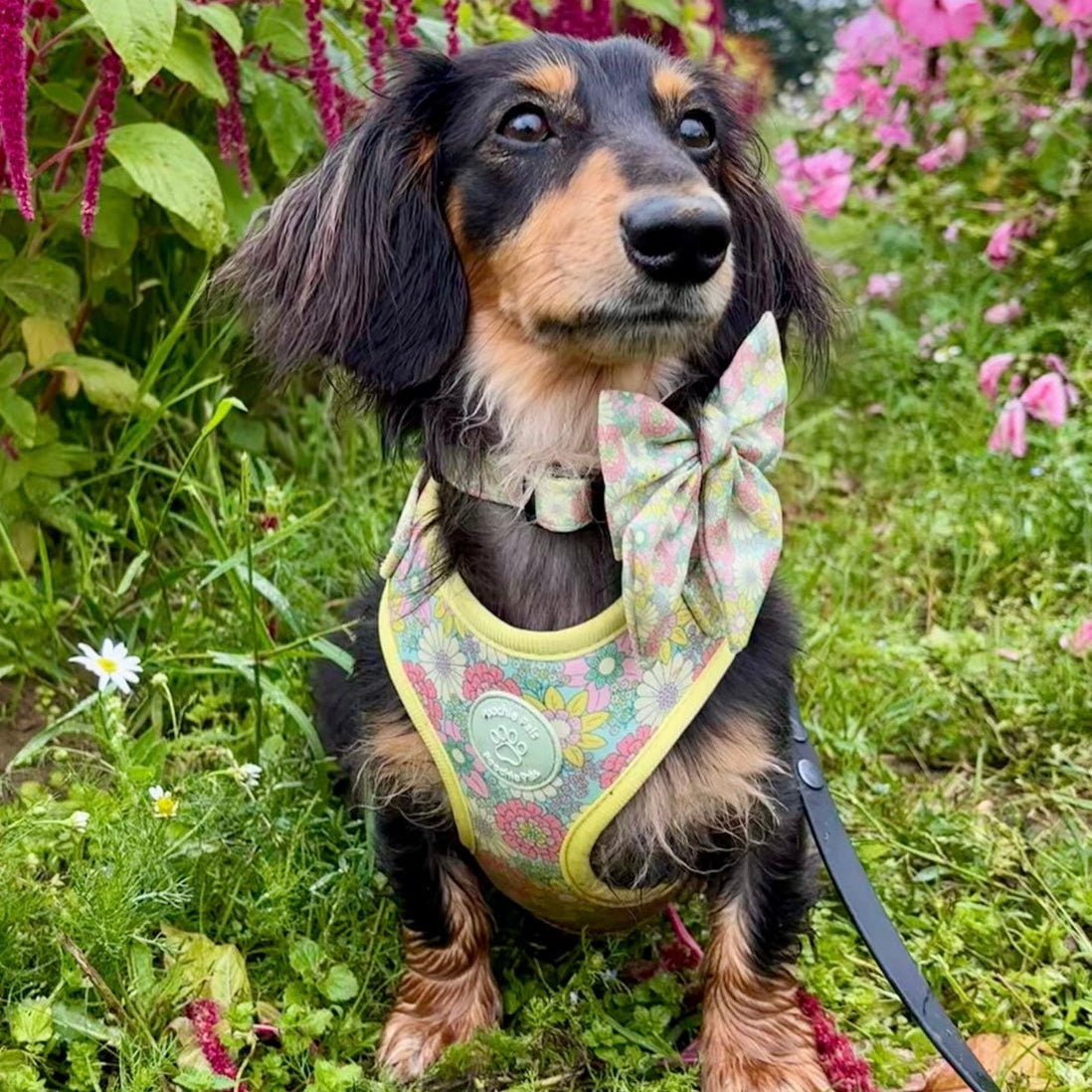Sunshine Meadow Adjustable Harness