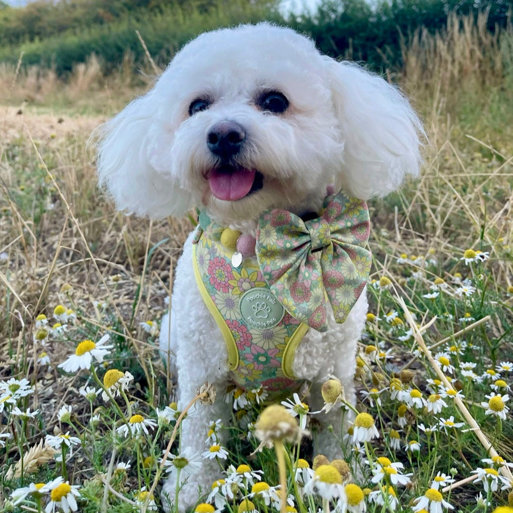 Sunshine Meadow Adjustable Harness