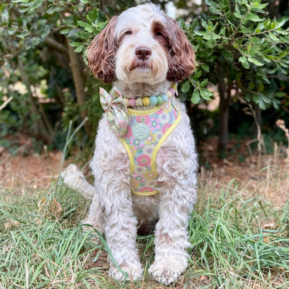 Sunshine Meadow Adjustable Harness