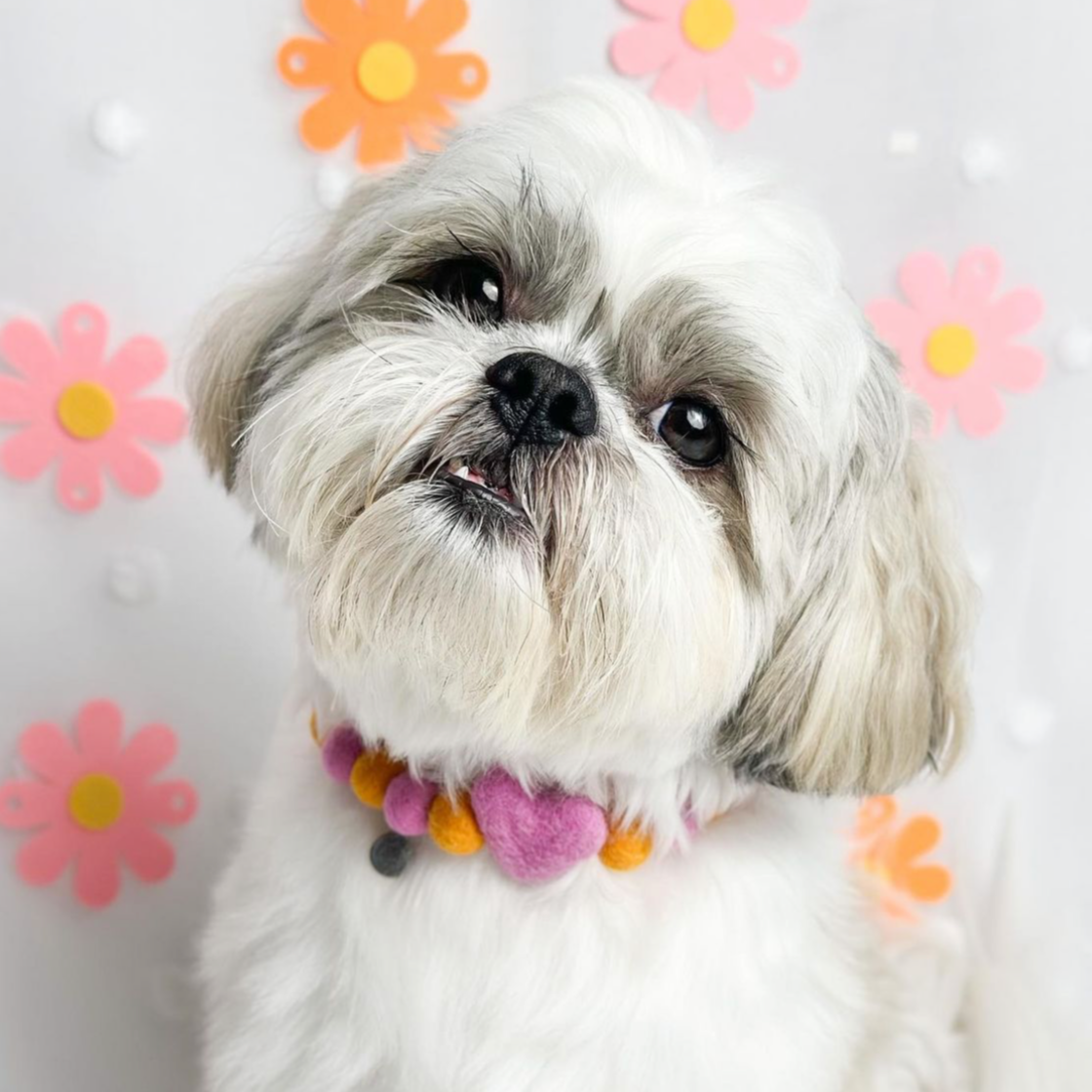 Strawberry Sunset Heart Pom Pom Collar