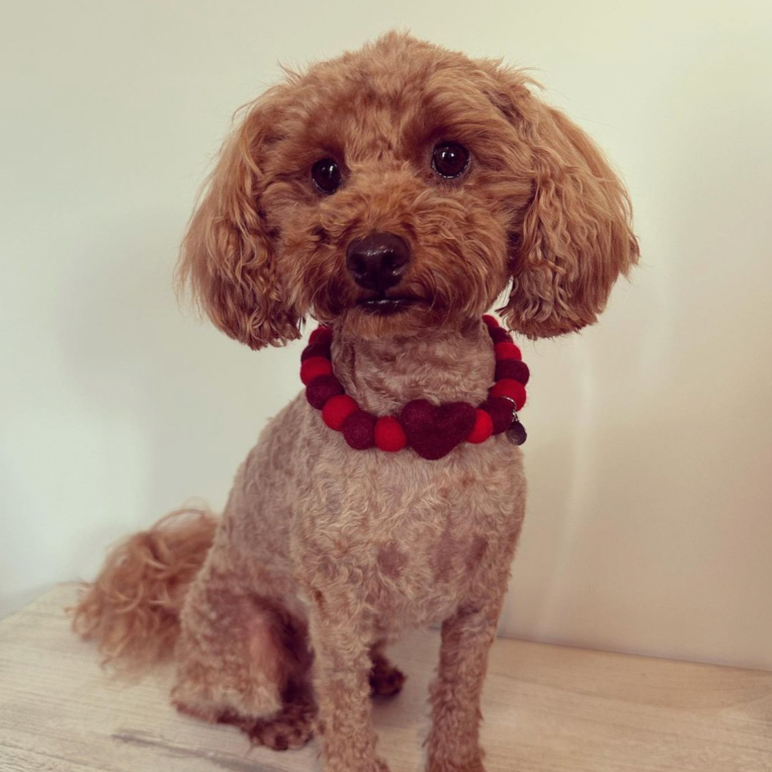 Love heart deals collar