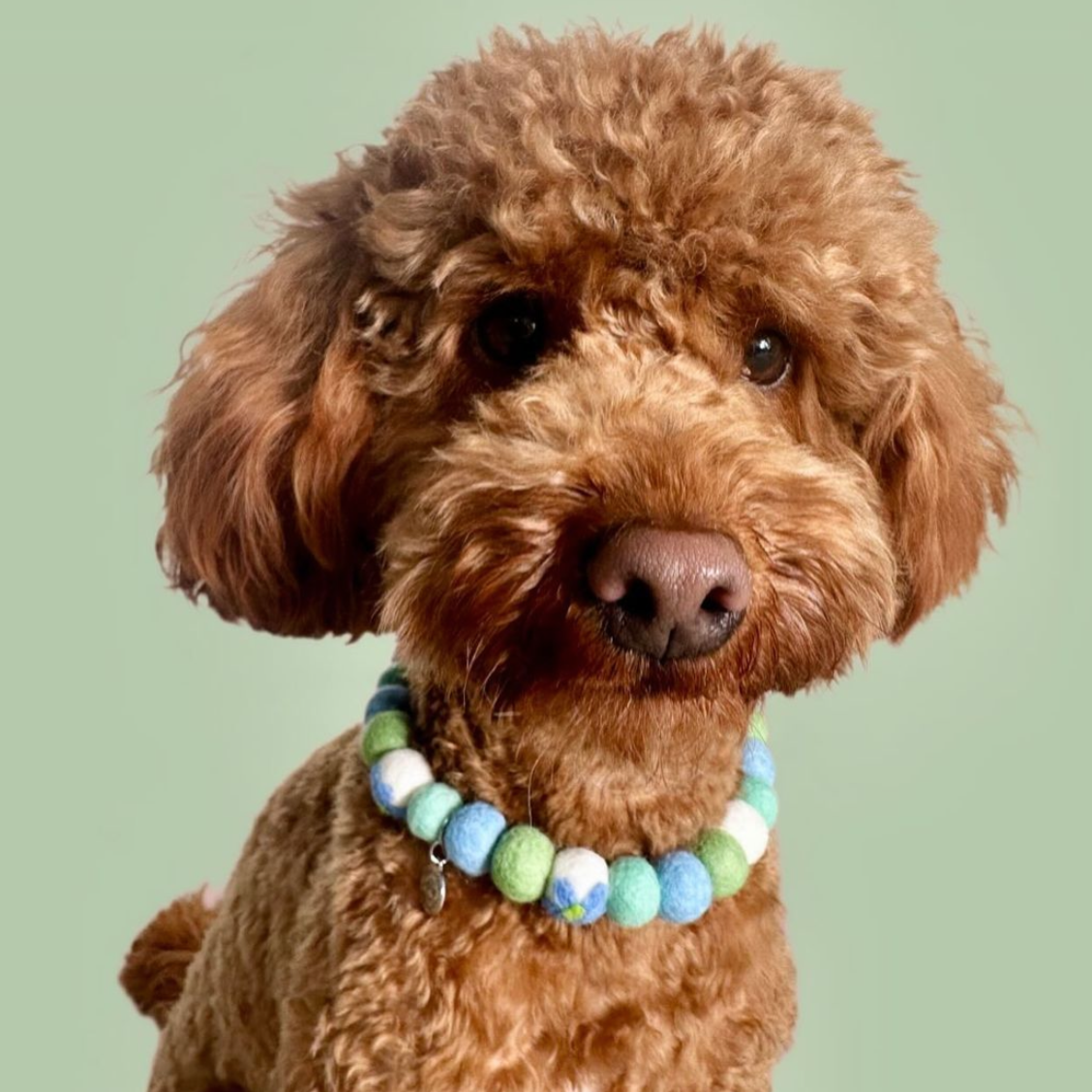 Spring Garden Flower Pom Pom Collar
