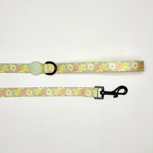 Sunshine Meadow Material Lead