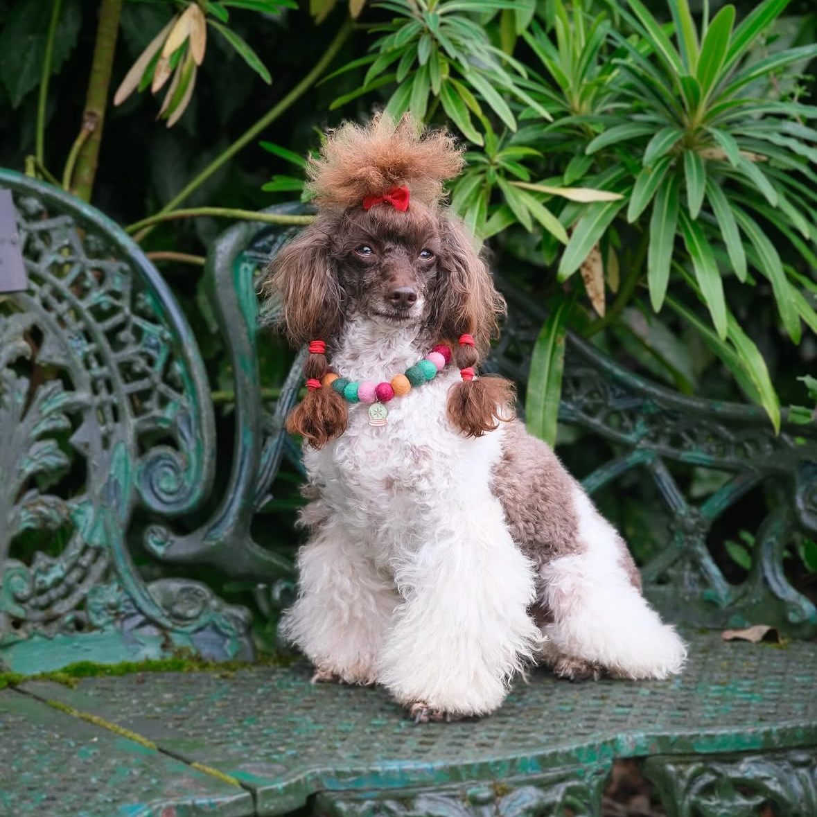 Very Vintage Christmas Collar
