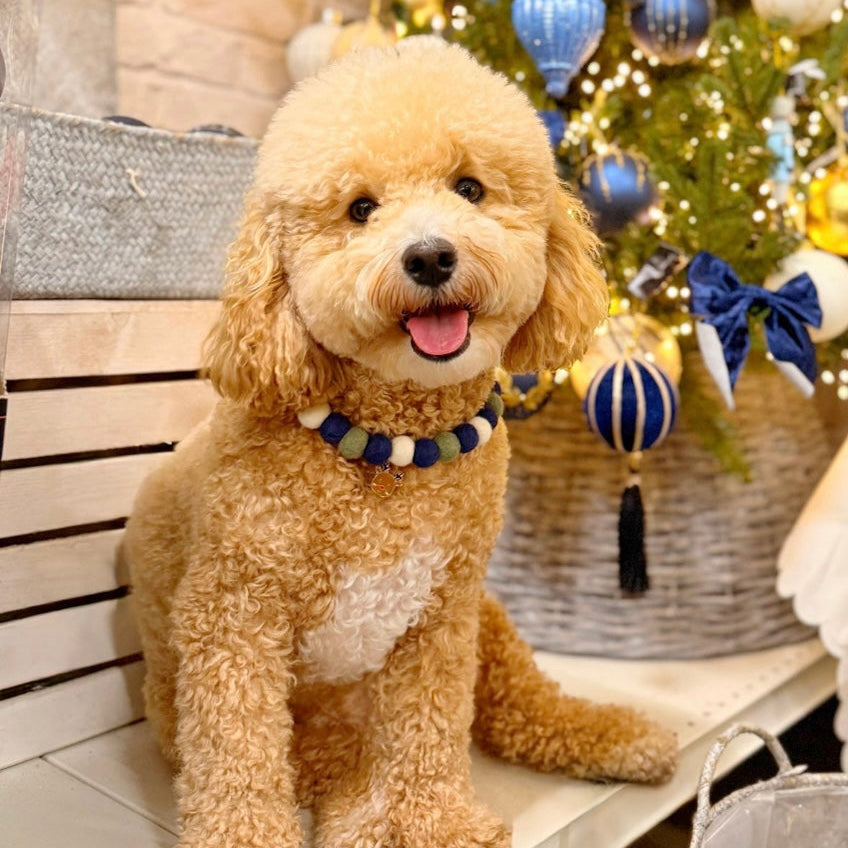 Christmas Sky Collar