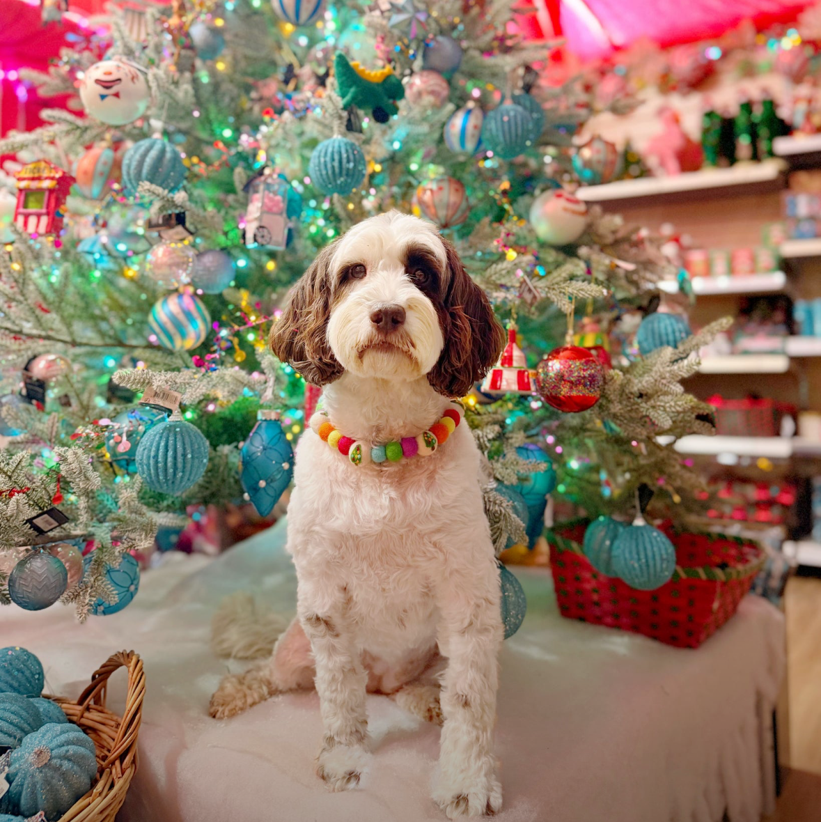 Christmas Tree Collar