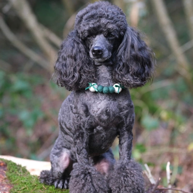 Christmas Green Satin Bow Collar
