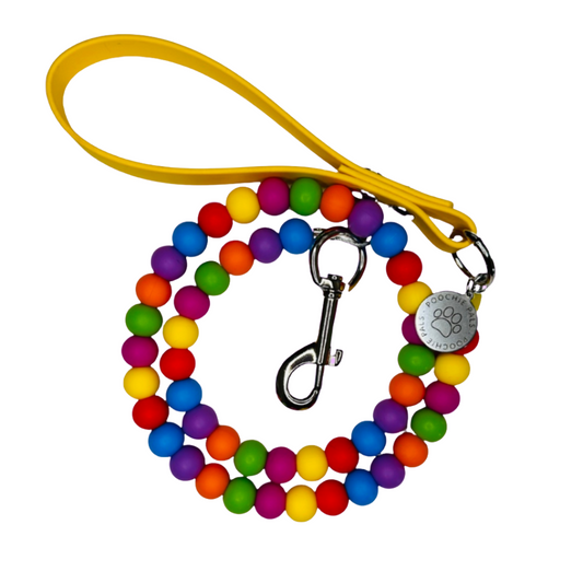 Rainbow Kiss Dog Lead