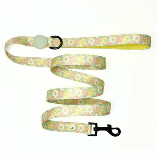 Floral patterned dog leash on a white background