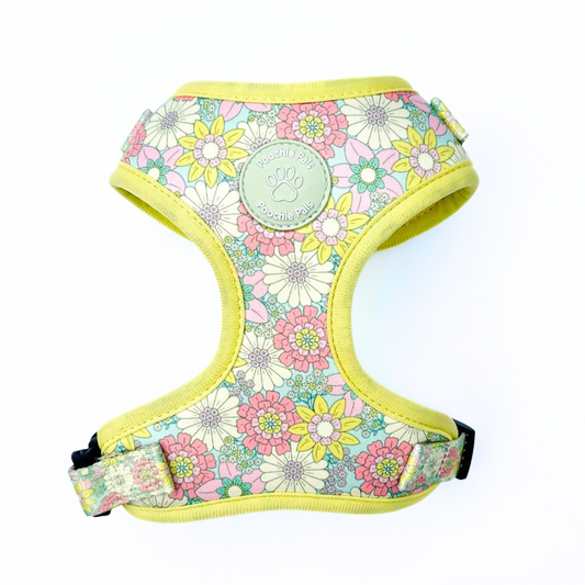 Floral patterned dog harness with a yellow border on a white background