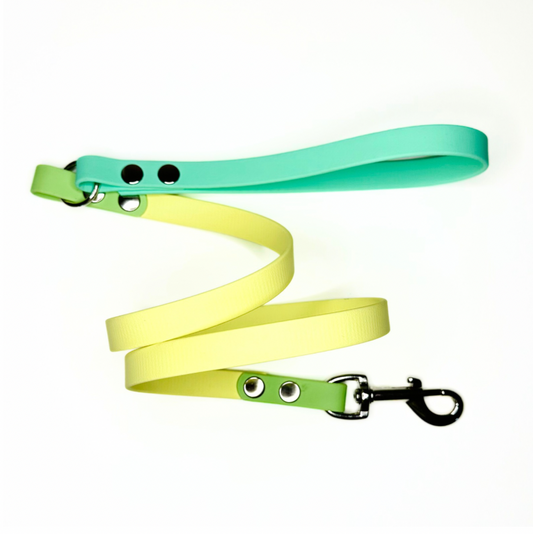 Two-tone green and yellow dog leash on a white background biothane waterproof