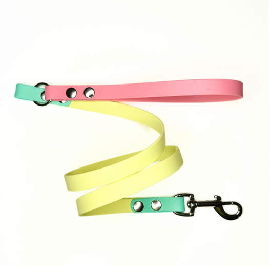 Colorful dog leash with pink, yellow, and green sections on a white background